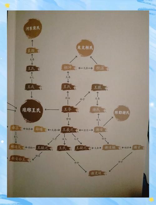 王与马共天下：琅琊王氏与司马氏的权力之争
