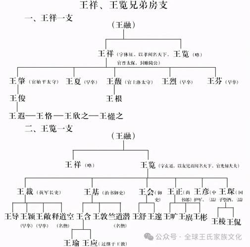 王与马共天下：琅琊王氏与司马氏的权力之争
