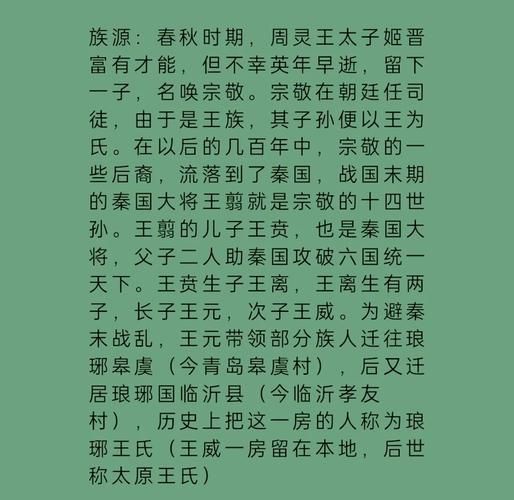 王与马共天下：琅琊王氏与司马氏的权力之争