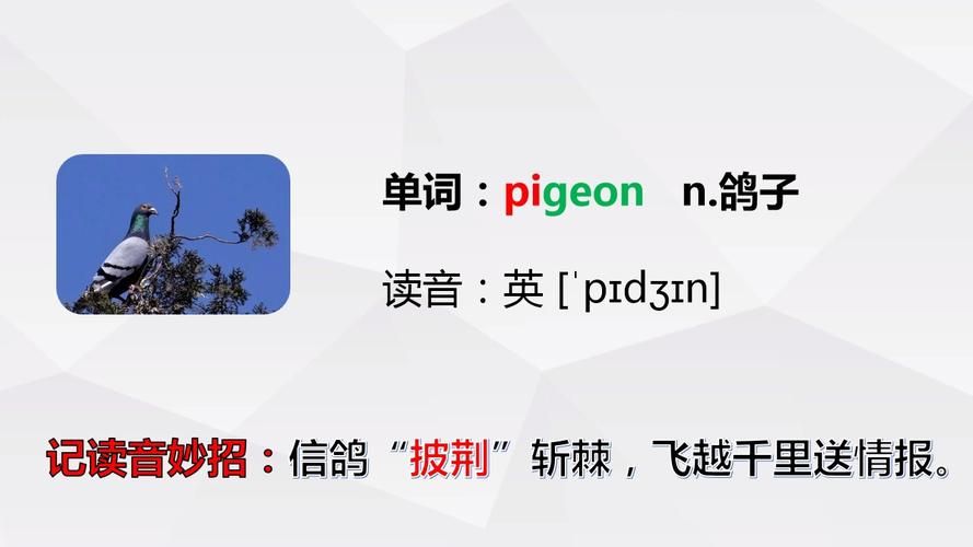 王浚名字的正确读法是怎样的？快速掌握读音技巧