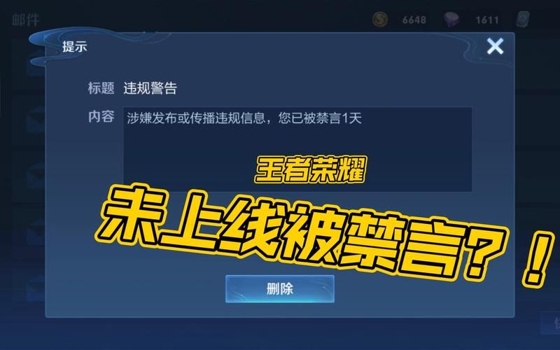 王者禁言原因及解决方法：别再被禁言啦！