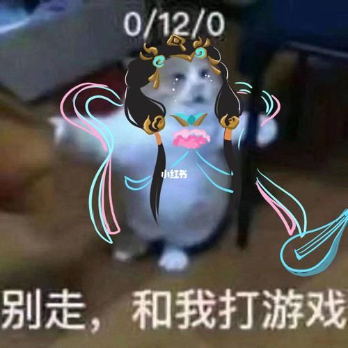 王者荣耀表情包制作教程，轻松制作你的专属表情包！