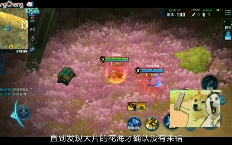 王者荣耀边境突围花海位置详解：中枢炮台必看！