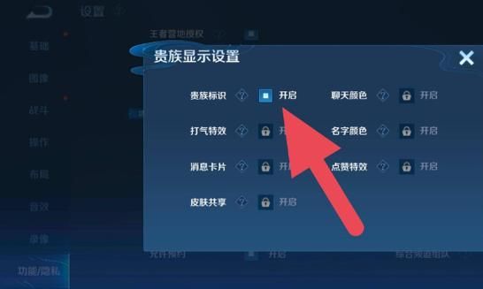 王者荣耀隐身设置方法是什么？新手也能学会的教程