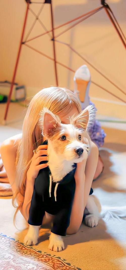 玛丽萝丝Marie Rose壁纸：高清图片资源大放送