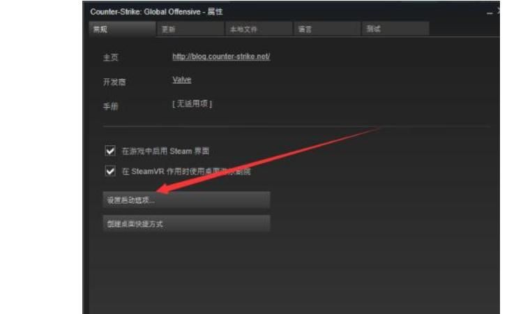 玩CSGO想切换国服？这篇教程手把手教你