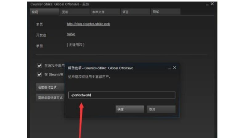 玩CSGO想切换国服？这篇教程手把手教你