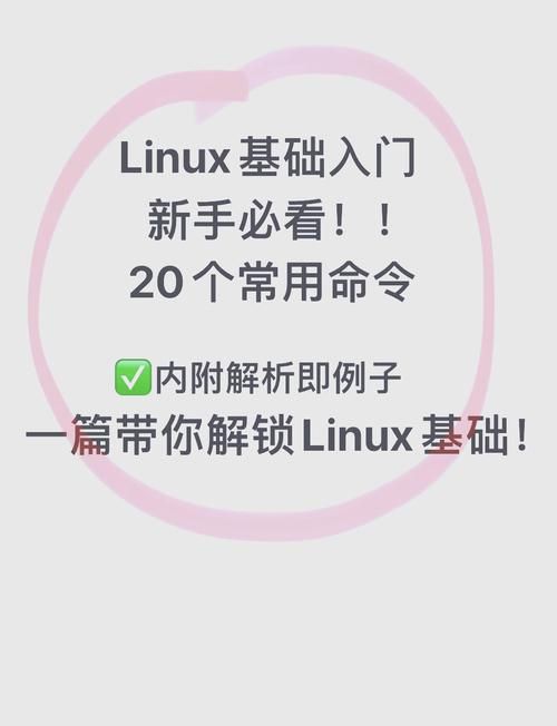 玩转Linux：ifconfig命令的实用技巧与案例