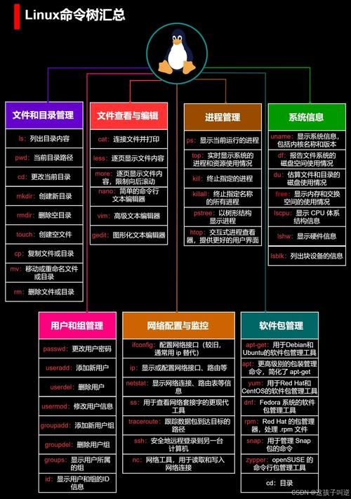 玩转Linux：ifconfig命令的实用技巧与案例