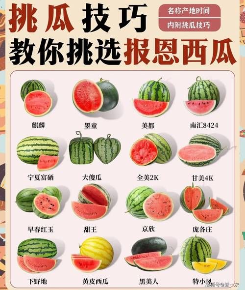 玩转合成大西瓜：从入门到精通的完整指南