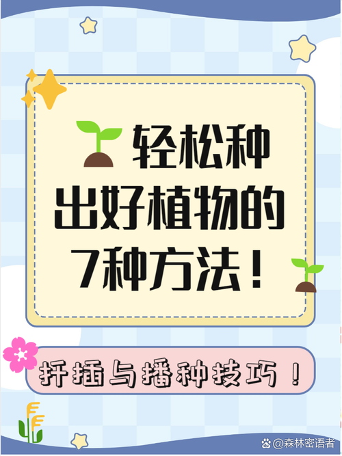 玩转波西亚时光：竹瓜获取途径及高效种植