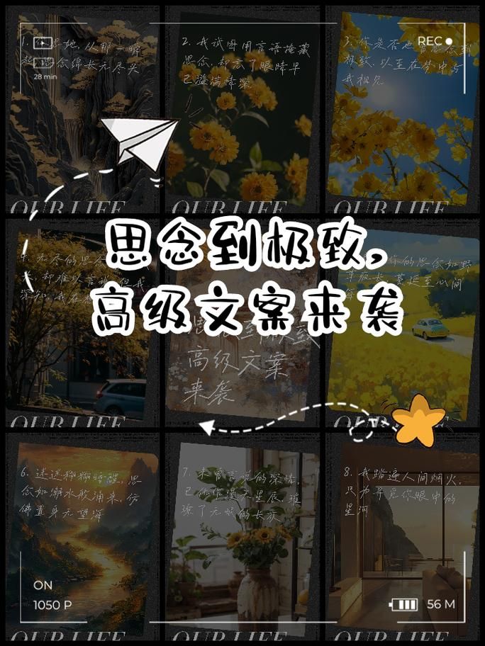 玫瑰花瓣一片一片片凋落在眼前：你是否也曾如此思念一人？