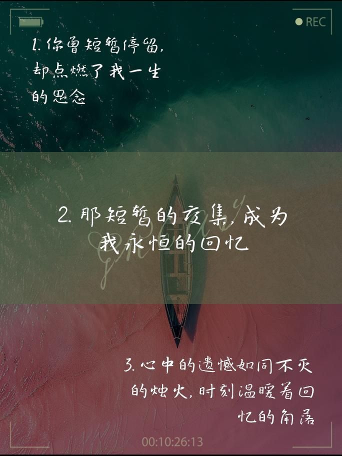 玫瑰花瓣一片一片片凋落在眼前：你是否也曾如此思念一人？
