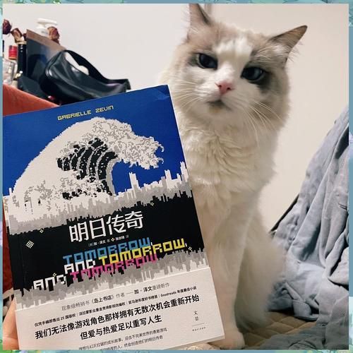 现实召唤：游戏里的惊险与现实的挑战