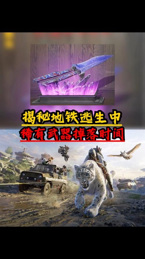 珍贵的武器：这些装备究竟有多么昂贵？