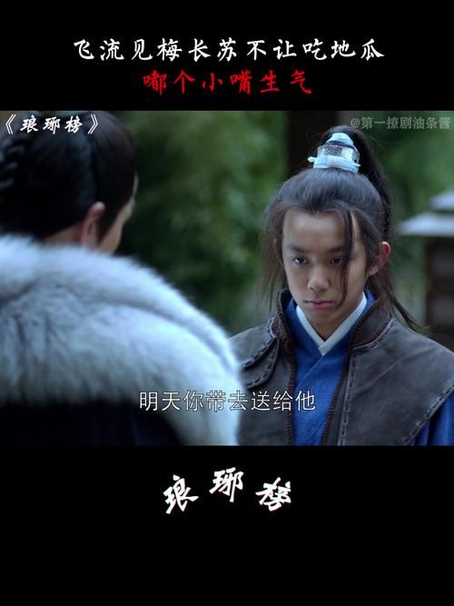 琅琊榜飞流：童年阴影与梅长苏的救赎之路
