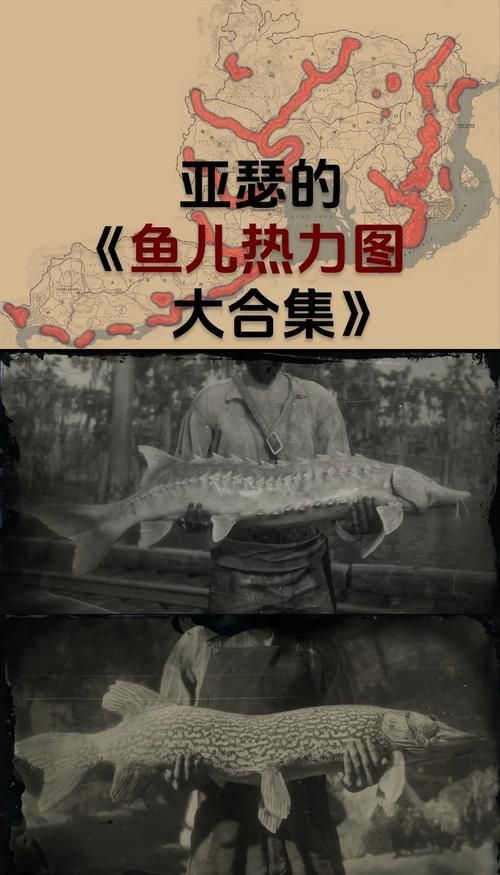 瓜马岛能自由探索吗？荒野大镖客2瓜马岛探索指南