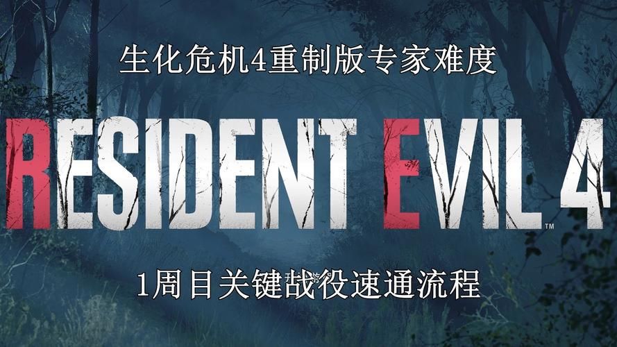 生化危机4完美存档分享：专家难度速通存档