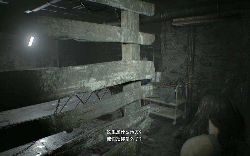 生化危机7伊森：探秘伊森的过去，他究竟是谁？
