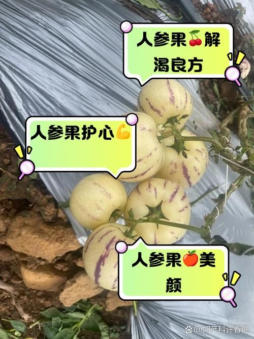生命果的功效和禁忌：吃之前必须了解
