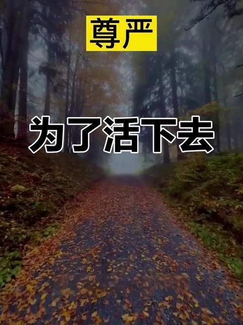 生存与尊严：我们该如何选择？活下去还是活得有尊严？