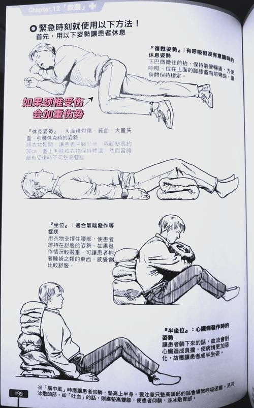 生存之旅2秘籍教程：从新手到高手，秘籍助你一臂之力！