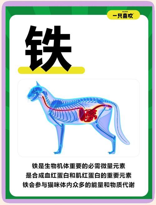 生铁是什么化学式？关于生铁你需要知道的知识