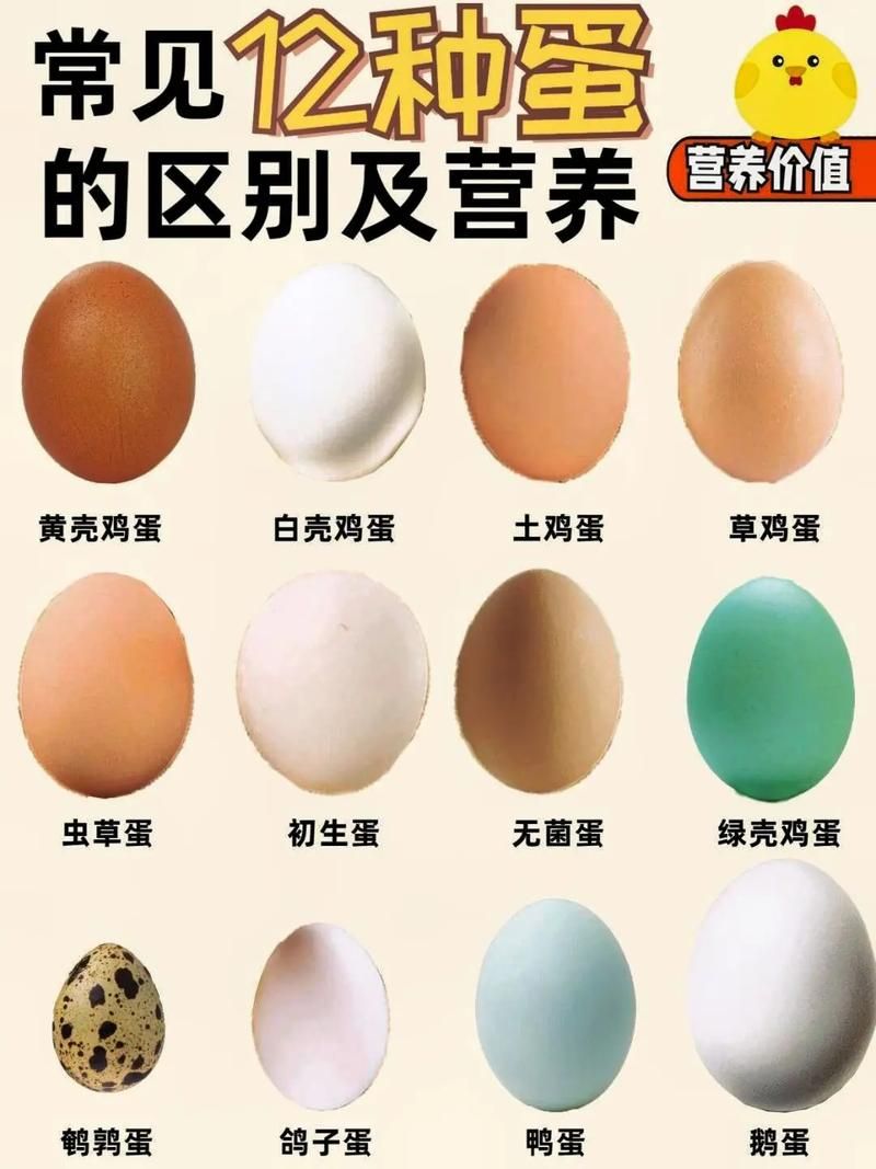生鸡蛋的营养价值和食用风险，喝生鸡蛋好不好？
