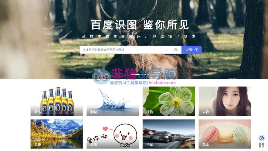 用图搜图，在线照片识别，识图搜索帮你解决难题