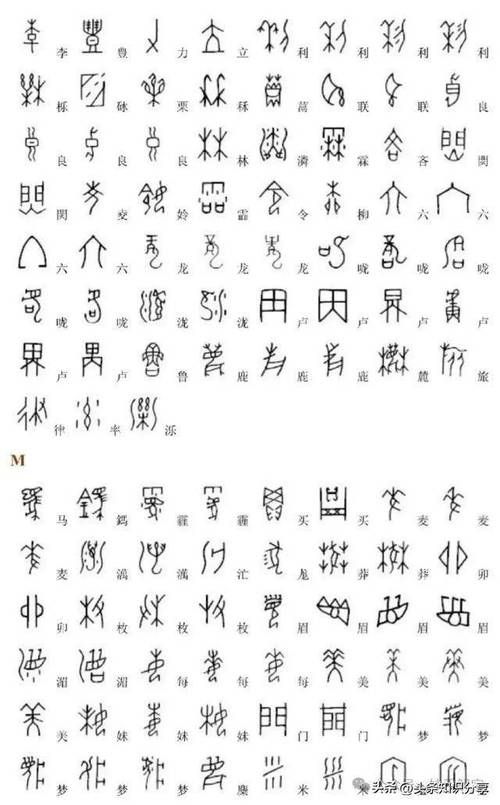 甲骨文是什么朝代的文字？商朝甲骨文详解