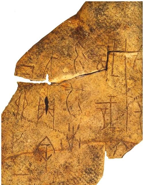甲骨文是什么朝代的文字？商朝甲骨文详解