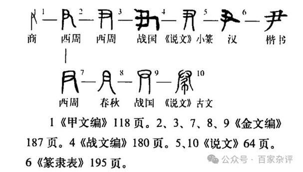甲骨文是什么朝代的文字？商朝甲骨文详解