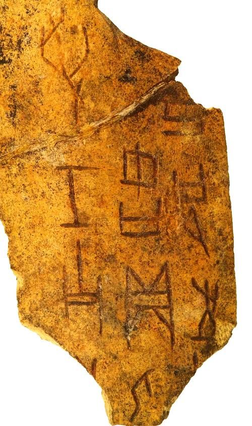 甲骨文是什么朝代的文字？商朝甲骨文详解