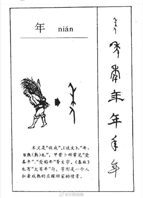 甲骨文是什么朝代的文字？商朝甲骨文详解