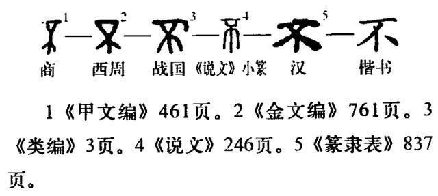 甲骨文是什么朝代的文字？商朝甲骨文详解
