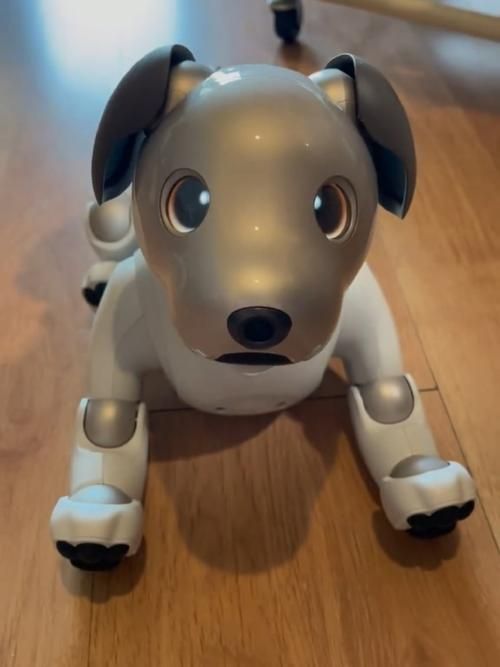 电子狗哪个牌子好？2023最新十大品牌推荐