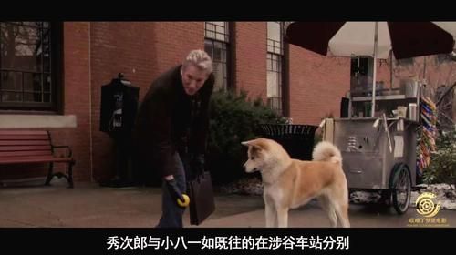 电影修女救父：父女情深，一段感人的故事