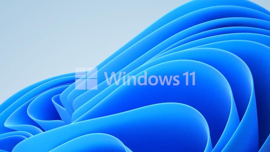 电脑Flash最新版本下载：支持Win11系统！