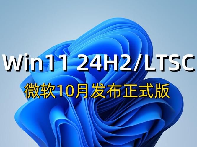 电脑Flash最新版本下载：支持Win11系统！