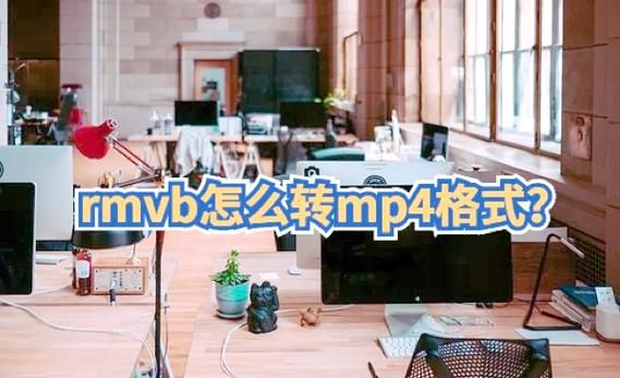 电脑RMVB解码器推荐：解决RMVB格式视频播放问题的神器