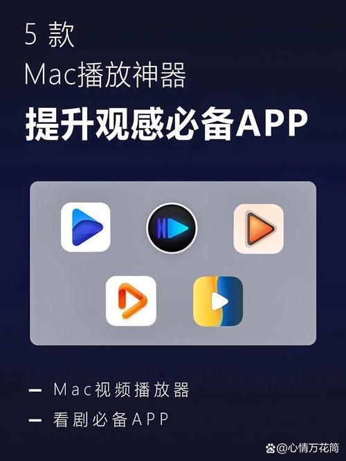 电脑RMVB解码器推荐：解决RMVB格式视频播放问题的神器