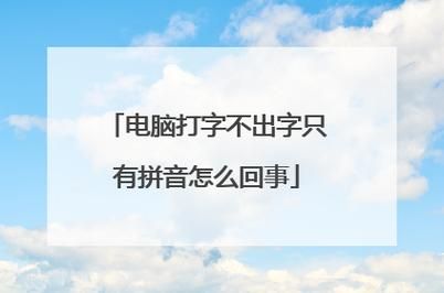 电脑只能打字母不能打字怎么办？输入法设置问题？