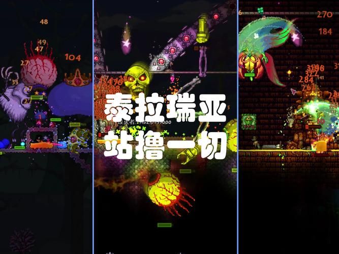 电脑版泰拉瑞亚打不开？教你轻松解决游戏问题