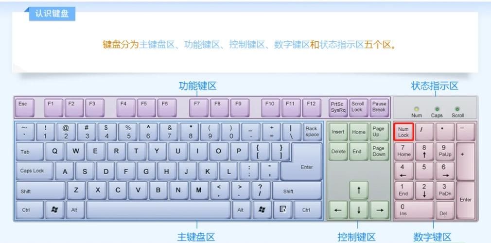 电脑键盘Num6键在哪？快速找到你的数字6键