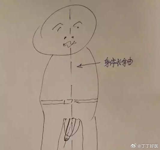 男性正常小弟状态特征及发育过程详解