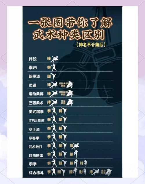 男格斗转职选择困难？四大职业深度解析！