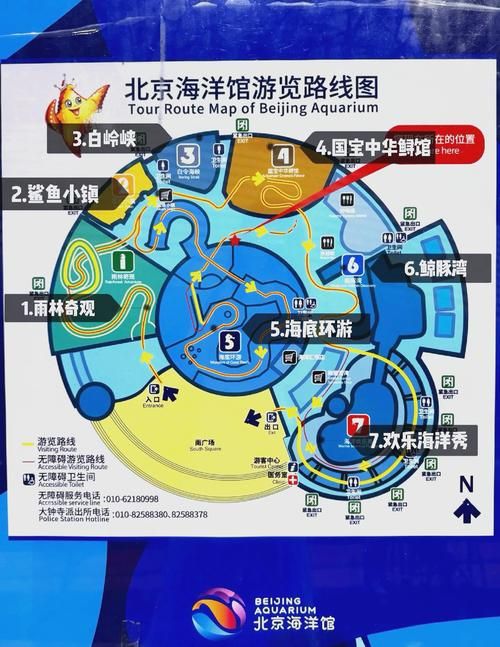 疯狂动物园海洋地图玩法详解：新手也能轻松上手