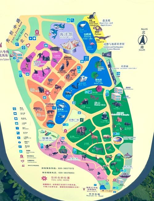 疯狂动物园海洋地图玩法详解：新手也能轻松上手