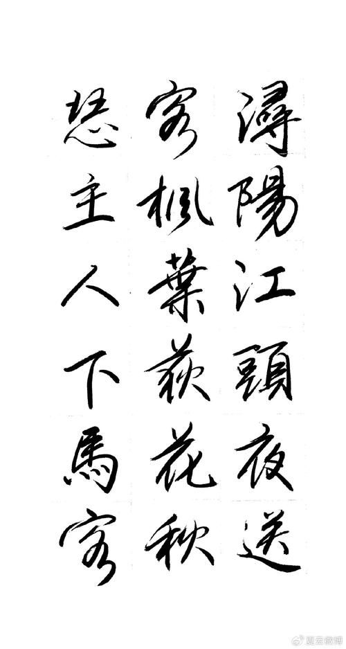 白居易诗句里的“大珠小珠落玉盘”是哪个乐器？