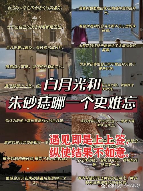 白月光和朱砂痣：你更喜欢哪一种？解读词语背后的故事